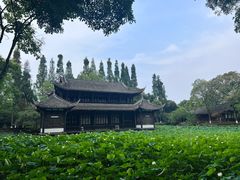 -桂湖森林公园