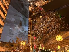 -桂满陇·海市蜃楼·黑金(国金店)