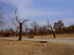 -西安秦岭野生动物园