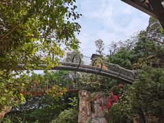 -深圳野生动物园