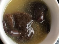 -波密野生菌王酒家