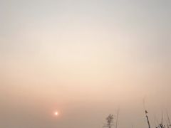 -日照海滨国家森林公园