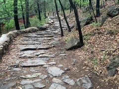 -阳台山自然风景区