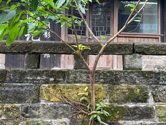 -两江国际影视城