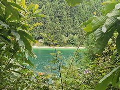 -武陵山森林公园