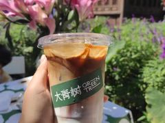 -大青树咖啡(大理古城店)