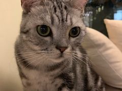 -猫和宫(六道口店)