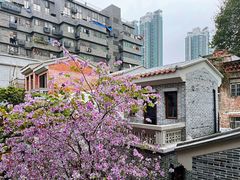 -广州西关永庆坊旅游区