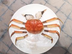 -新光酒家·河豚·海鲜·蟹料理(浦东店)