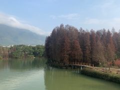 -星湖旅游景区七星岩