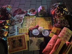 -芭比堂动物医院·CT·微创中心(新顺分院)