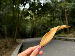 -广州市白云山风景名胜区