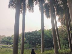 -南宁南湖公园