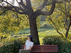 -南京市江宁方山