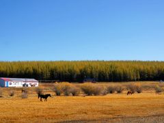-塞罕坝国家级自然保护区