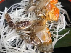 -渔娘渔家丹东海鲜(东直门店)