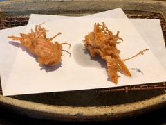 -みかわ是山居