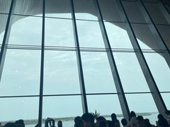 -抱抱地球咖啡馆(国家海洋博物馆店)
