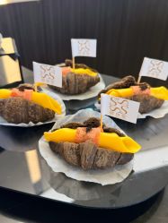 -Fundi张玉珊修身堂·indiba·BTL科技瘦身