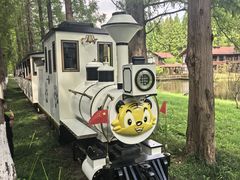 -黄海国家森林公园