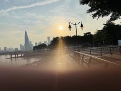 -深圳湾公园(南山区)