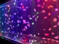 -邯郸海洋世界