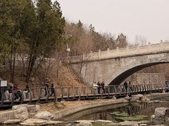-白水寺森林公园