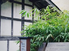 -青林口古镇