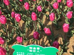 -江南大学(蠡湖校区)