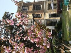 android_upload_pic-大可堂普洱茶馆(襄阳南路馆)