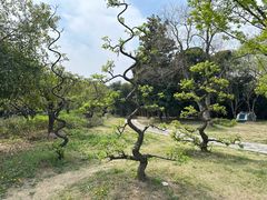 -杭州国际会议中心洲际酒店-菋道海鲜餐厅