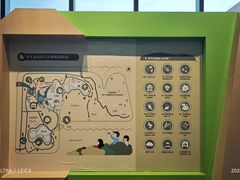 -福田红树林生态公园