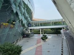 -合肥新桥国际机场-航站楼