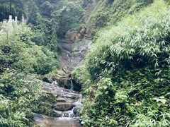 -南山植物园