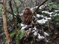 -九峰山