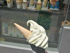 牛油果冰淇淋-麦丽丝红油辣椒冰淇淋(江家巷店)
