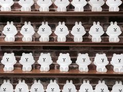 -LINE FRIENDS Garosu-gil Flagship Store