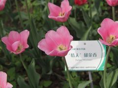 -国家植物园