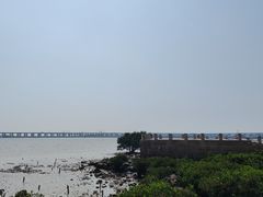 -宝安西湾红树林湿地公园