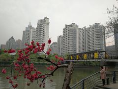 -运河游船(武林门码头)