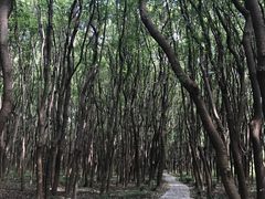 -同里国家湿地公园