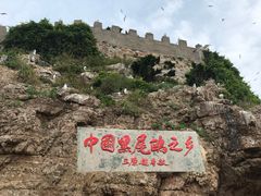 -海驴岛(荣成市)