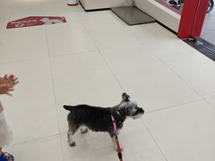 -御宝贝24h宠物医院·转诊中心·CT核磁血透中心(厦门总院)