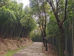 -达蓬山旅游度假区