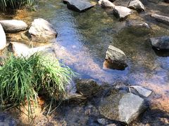 -碓臼峪自然风景区