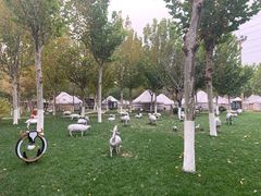 -九十九顶毡房(阜石路店)