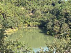 -广州白江湖森林公园