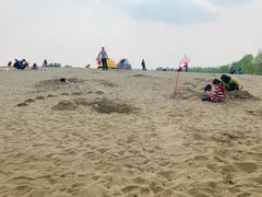 -东郊湿地公园