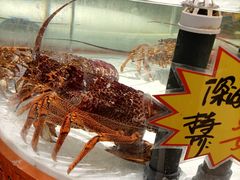 -万龙洲海鲜(大兴绿地缤纷城店)