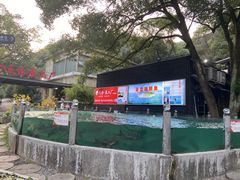 -天怡·鱼工厂(梅溪湖店)